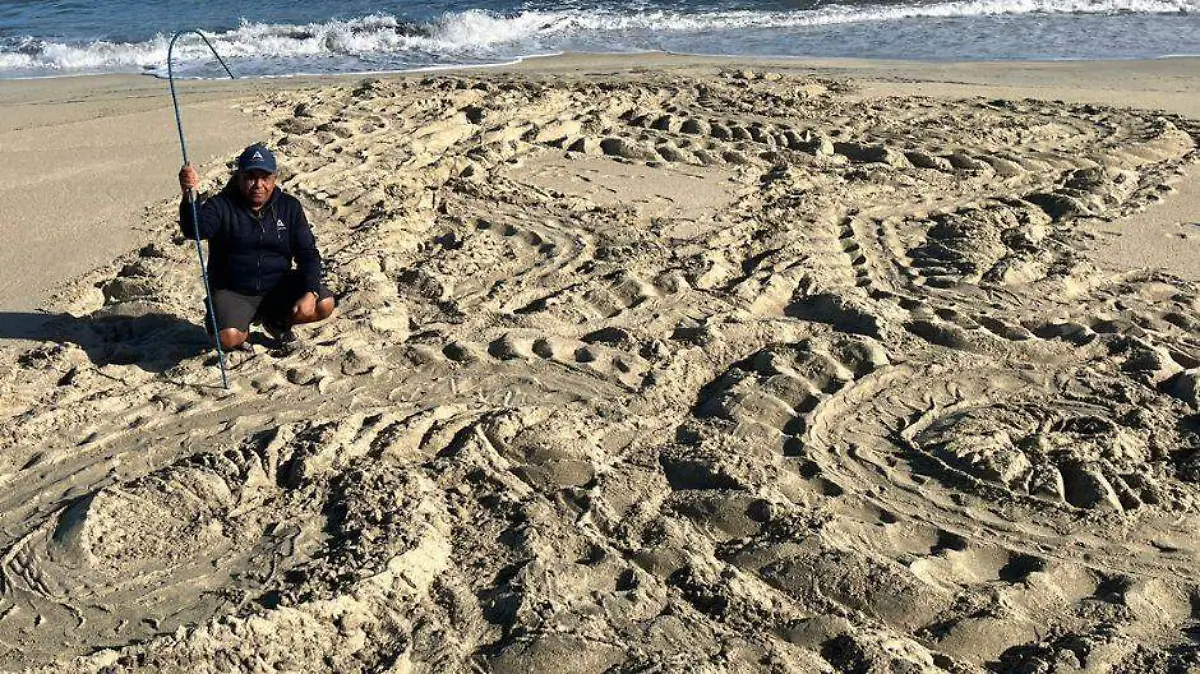 tortuga desove en la paz